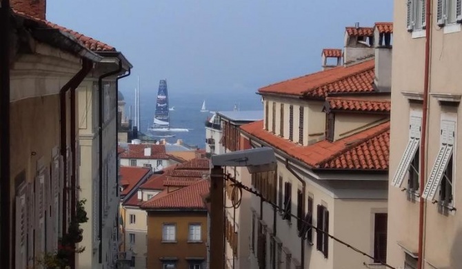 Casa Antica - Historical apartment in old city center