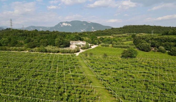 Serene Holiday and Wine Farm